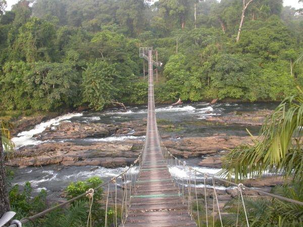 Le parc national de Korup