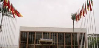 Comment fonctionne l’Assemblée nationale camerounaise ? Assemblée nationale camerounaise