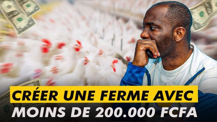 BUSINESS AVEC 200 000 FCFA