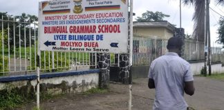Bac E au Cameroun : les écoles d’ingénieurs et instituts professionnels à privilégier Bac E au Cameroun