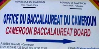 Résultats du Baccalauréat 2026 au Cameroun : quand seront-ils publiés et comment les consulter ? Baccalauréat 2026 au Cameroun