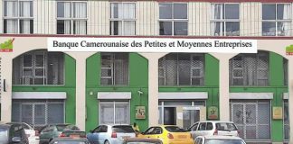 Banque Camerounaise des Petites et Moyennes Entreprises (BC-PME) : présentation, services et financement des PME Banque Camerounaise des Petites et Moyennes Entreprises