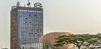 Comment postuler à la CNPS Cameroun comme informaticien ? CNPS Cameroun