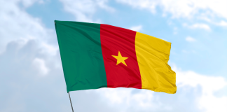 Quels sont les secteurs porteurs au Cameroun ? Drapeau du cameroun