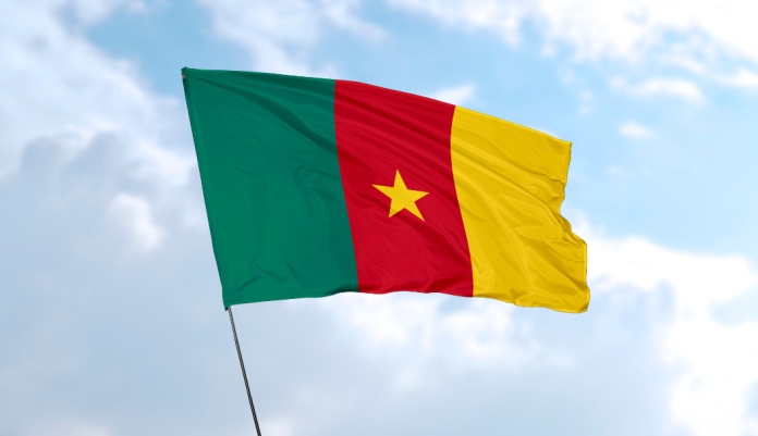 Cameroun Drapeau du cameroun