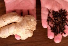 Pourquoi le clou de girofle est-il présenté comme l’allié insoupçonné de votre intimité ? Clou de girofle et gingembre