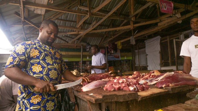 Comment multiplier 50 000 FCFA en 1 mois VENTE DE VIANDE AU CAMEROUN