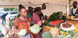 Quel business agroalimentaire lancer avec 100 000 FCFA ? Commerce de fruits et légumes