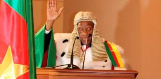 Comment fonctionne le Conseil constitutionnel camerounais ? Conseil constitutionnel camerounais