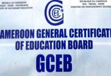 Résultats GCE 2026 au Cameroun : sont-ils déjà disponibles ? GCE 2026 au Cameroun