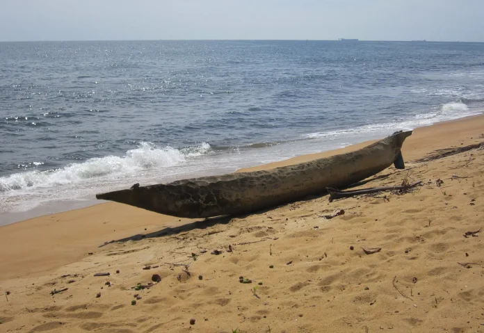 Grand Batanga plage