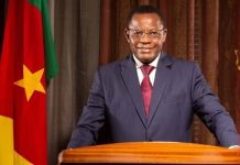 Maurice Kamto sera nommé vice-président du Cameroun…. ?