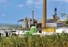 Cameroun : Nassourou Issa lance une sucrerie de 100 millions de dollars pour concurrencer le monopole de Sosucam