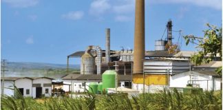 Cameroun : Nassourou Issa lance une sucrerie de 100 millions de dollars pour concurrencer le monopole de Sosucam