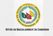 Cameroun : les résultats du Baccalauréat Industriel déjà disponibles, voici comment consulter son résultat