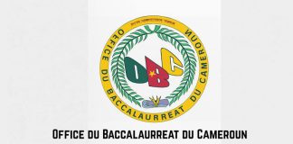 Cameroun : les résultats du Baccalauréat Industriel déjà disponibles, voici comment consulter son résultat