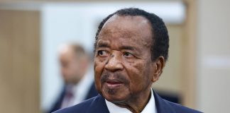 Coup dur pour les Camerounais : l’Afrique du Sud ouvre ses portes à 32 pays africains, mais le Cameroun reste exclu