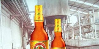 King Beer : histoire, caractéristiques et succès de la première bière blonde 100 % camerounaise King Beer