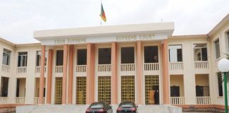 La Cour suprême du Cameroun : 50 questions et réponses complètes La Cour suprême du Cameroun