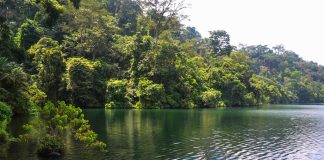 Le lac Barombi Mbo : un joyau naturel du Cameroun Le lac Barombi Mbo