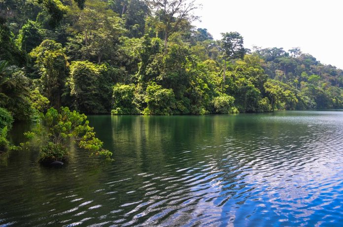 Le lac Barombi Mbo Le lac Barombi Mbo