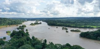 Le lac Ossa : un joyau naturel du Cameroun Le lac Ossa