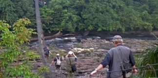 Comment visiter le parc national de Korup au Cameroun ? visiter le parc national de Korup