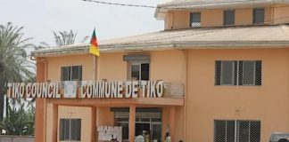 Les collectivités territoriales décentralisées au Cameroun : 50 questions et réponses complètes Les collectivités territoriales Cameroun