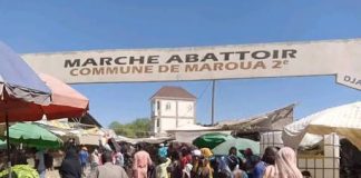 Les plus grands marchés de Maroua Marché Abattoir Maroua