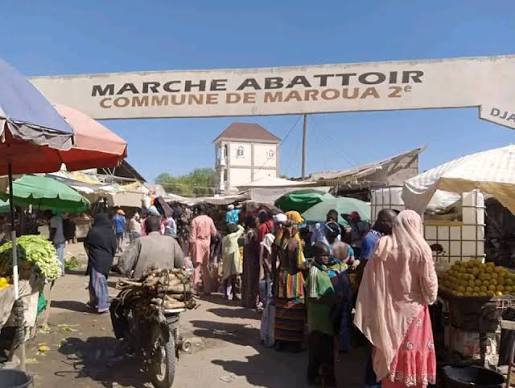 Marché Abattoir Marché Abattoir Maroua