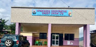 Comment obtenir un crédit agricole dans une Credit Union au Cameroun ? Ntarikon Cooperative Credit Union