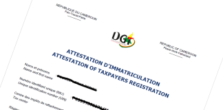 Comment obtenir le Numéro d’Identifiant Unique (NIU) pour une nouvelle entreprise au Cameroun ? Numéro d'Identifiant Unique