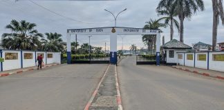 Orientation universitaire 2026 : les filières les plus prometteuses pour les nouveaux bacheliers camerounais Orientation universitaire 2026