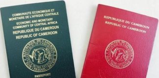 Passeport camerounais en 2026 : la question de l’accès sans visa revient au cœur du débat Passeport camerounais en 2026
