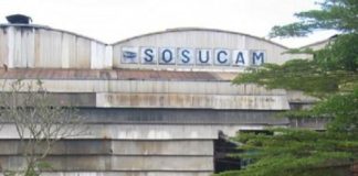Comment postuler chez SOSUCAM comme agronome ? SOSUCAM