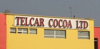 Telcar Cocoa Ltd : histoire, activités, exportation de cacao et rôle dans l’économie camerounaise # Telcar Cocoa Ltd : histoire, activités, exportation de cacao et rôle dans l'économie camerounaise ## Qu'est-ce que Telcar Cocoa Ltd ? **Telcar Cocoa Ltd** est l'une des principales entreprises de commercialisation et d'exportation de cacao au Cameroun. Basée à Bonabéri, à Douala, la société est reconnue pour son rôle majeur dans la collecte, le traitement et l'exportation des fèves de cacao camerounaises vers les marchés internationaux. Depuis plus de trois décennies, elle contribue au développement de la filière cacao, l'un des secteurs les plus importants de l'économie du pays. ## L'histoire de Telcar Cocoa Ltd Telcar Cocoa a débuté ses activités en 1991 comme entreprise individuelle avant d'évoluer progressivement. En 1995, elle devient une société de négoce de matières premières, puis adopte le nom **Telcar Cocoa Ltd** en 2001. Son développement rapide lui a permis de devenir l'un des principaux exportateurs de cacao du Cameroun. ## Les activités de Telcar Cocoa L'entreprise intervient dans plusieurs domaines de la filière cacao : * achat des fèves de cacao auprès des producteurs ; * contrôle de la qualité ; * nettoyage et tri des fèves ; * stockage et logistique ; * exportation vers les marchés internationaux ; * accompagnement des producteurs dans les programmes de certification et de durabilité. Grâce à ces activités, Telcar Cocoa joue un rôle essentiel dans la valorisation du cacao camerounais. ## Une entreprise engagée dans la qualité Telcar Cocoa dispose d'installations modernes permettant le nettoyage, le calibrage, le polissage et le tri des fèves de cacao avant leur exportation. L'entreprise met également en œuvre des normes de qualité internationales afin de répondre aux exigences des chocolatiers et des industriels du cacao. ## Le partenariat avec les producteurs L'entreprise travaille avec de nombreuses coopératives et producteurs de cacao dans plusieurs régions du Cameroun, notamment : * le Centre ; * le Sud ; * le Sud-Ouest ; * d'autres bassins de production. Elle accompagne les planteurs à travers des formations sur les bonnes pratiques agricoles, l'amélioration de la qualité des récoltes et les exigences des certifications internationales. ## Le rôle de Kate Fotso Telcar Cocoa est dirigée par **Kate Kanyi-Tometi Fotso**, figure majeure de l'agro-industrie camerounaise. Sous sa direction, l'entreprise est devenue l'un des principaux exportateurs de cacao du pays et s'est engagée dans des programmes de développement durable, de traçabilité et de professionnalisation de la filière. ## L'importance de Telcar Cocoa pour l'économie camerounaise Pendant de nombreuses années, Telcar Cocoa a figuré parmi les premiers exportateurs de cacao du Cameroun. L'entreprise participe à : * la création d'emplois directs et indirects ; * l'amélioration des revenus des producteurs ; * la promotion du cacao camerounais à l'international ; * le renforcement de la qualité des exportations. Le cacao demeure l'un des principaux produits agricoles d'exportation du Cameroun, faisant de Telcar Cocoa un acteur stratégique de cette filière. ## Les défis récents Ces dernières années, la filière cacao a connu plusieurs évolutions. La fin du partenariat historique entre Telcar Cocoa et le négociant international Cargill a entraîné une baisse des volumes commercialisés par l'entreprise. Parallèlement, les nouvelles exigences internationales en matière de traçabilité et de lutte contre la déforestation conduisent les exportateurs camerounais à renforcer leurs systèmes de contrôle et d'accompagnement des producteurs. ## Les engagements en faveur d'un cacao durable Telcar Cocoa participe à des initiatives visant à promouvoir un cacao durable et traçable. L'entreprise soutient notamment : * la certification des plantations ; * les bonnes pratiques agricoles ; * la protection de l'environnement ; * l'amélioration des conditions de vie des producteurs ; * la conformité aux réglementations internationales, notamment celles de l'Union européenne sur la traçabilité du cacao. ## Pourquoi Telcar Cocoa est une référence au Cameroun ? Telcar Cocoa est reconnue pour : * son expertise dans l'exportation du cacao ; * son réseau de collecte couvrant plusieurs régions ; * son engagement en faveur de la qualité ; * son accompagnement des producteurs ; * son rôle dans le rayonnement du cacao camerounais sur les marchés internationaux. Ces atouts en font l'une des entreprises les plus influentes de la filière cacao au Cameroun. ## Conclusion Telcar Cocoa Ltd