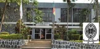 Débouchés professionnels après l’Université de Yaoundé I : Perspectives et Carrières Université de Yaoundé I