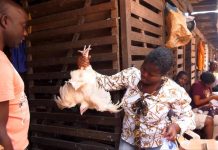 Vie chère au Cameroun : les ménages de plus en plus confrontés à la hausse des prix Vie chère au Cameroun
