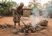 Certaines familles brûlent des feuilles séchées à la maison au Cameroun brûler les feuilles séchées cameroun