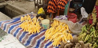 Comment passer de 50 000 à 500 000 FCFA au Cameroun ? choisir le bon emplacement pour son petit business