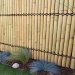 Pourquoi certaines clôtures sont faites en bambou au Cameroun ? clôtures sont faites en bambou