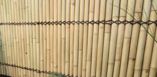 Pourquoi certaines clôtures sont faites en bambou au Cameroun ? clôtures sont faites en bambou