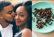 Comment utiliser le clou de girofle pour faire l’amour clou de girofle pour faire l’amour