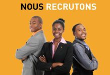 Comment trouver un stage de vétérinaire à Kousséri ? Offre d'emploi