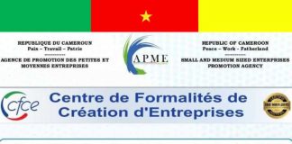 Comment créer une entreprise individuelle au Cameroun étape par étape ? dossier de création d'entreprise
