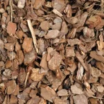 Pourquoi certaines écorces sont encore recherchées aujourd’hui au Cameroun ? écorces au Cameroun