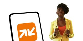 Moyen le moins cher pour envoyer de l’argent de France au Cameroun envoyer de l’argent