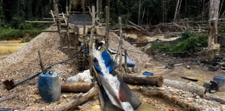 Cameroun : le gouvernement renforce la lutte contre l’exploitation illégale de l’or exploitation illégale de l'or