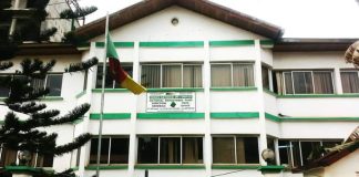 TOUT SAVOIR SUR LE FONDS NATIONAL DE L’EMPLOI (FNE) AU CAMEROUN FNE