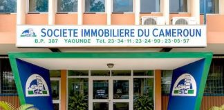 Comment devenir fournisseur de l’État camerounais ? fournisseur de l'État camerounais